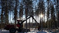 Trump admired Finnish forestry again in an interview with