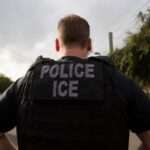 USA Hundreds arrested and deported