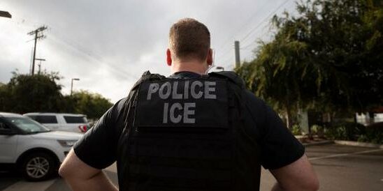 USA Hundreds arrested and deported