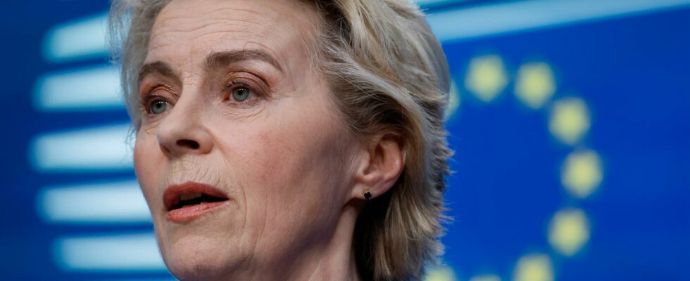 Ursula von der Leyen ill with pneumonia