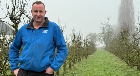 Utrecht fruit growers take no risks strict measures for safe