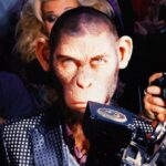 Why is the mega star in the film a monkey