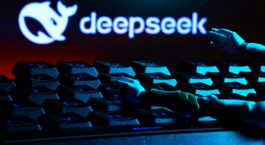 Why the Chinese AI Deepseek has panicked the financial markets