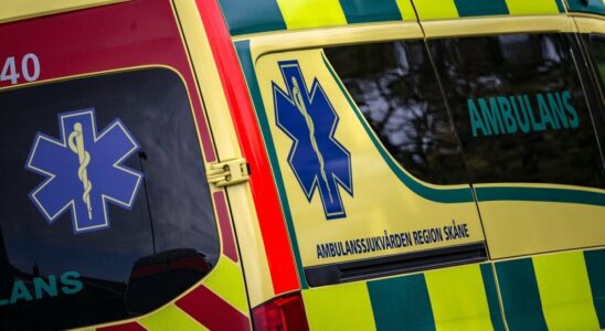 Woman dead after head on collision