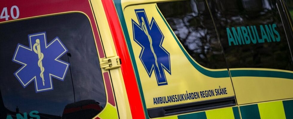 Woman dead after head on collision