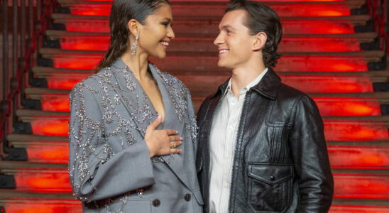 Zendaya and Tom Holland are going to get married soon