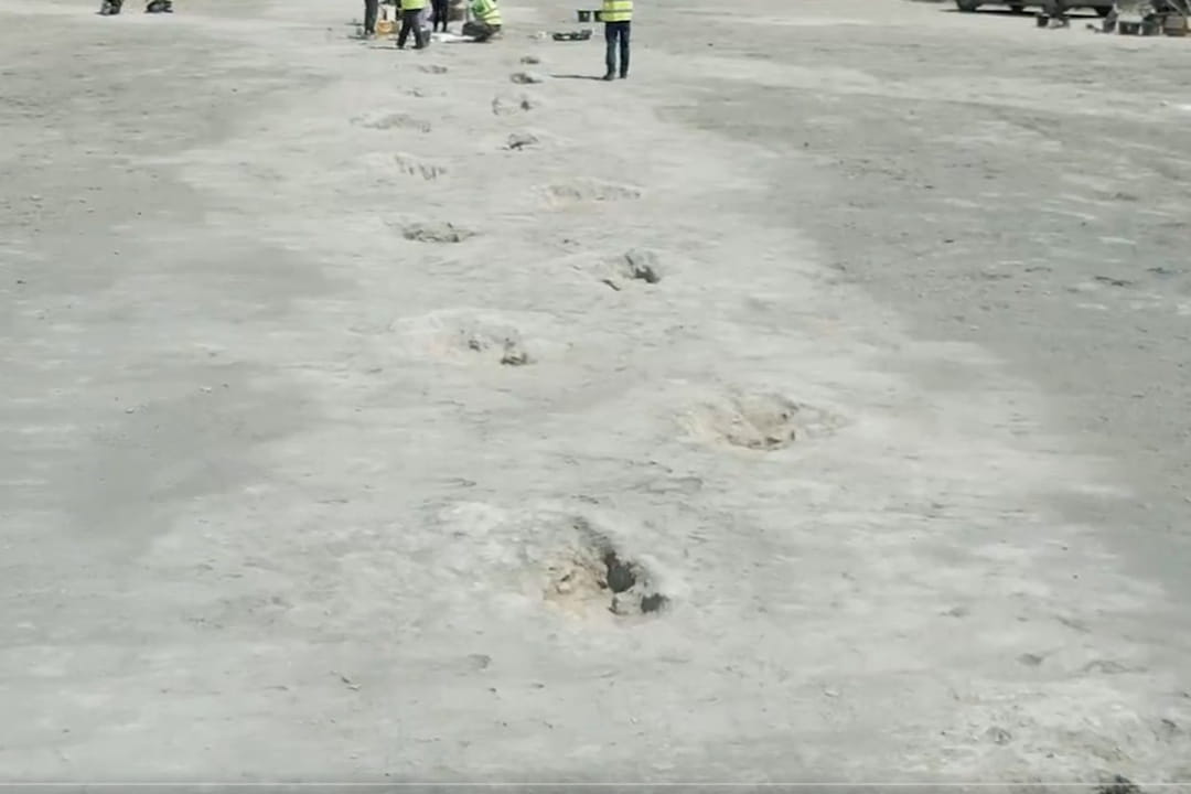 archaeologists discover a dinosaur highway with never before seen footprints