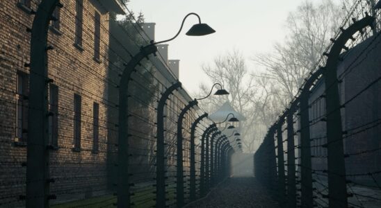 four books to read on the Shoah – LExpress