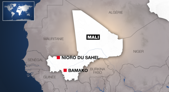 jihadist attack in Nioro amid doubts over the death of