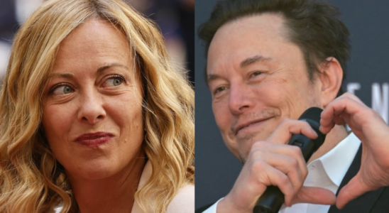 this contract between Giorgia Meloni and Elon Musk which causes