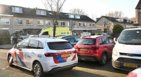 11 year old girl stabbed to death in Nieuwegein Very real that