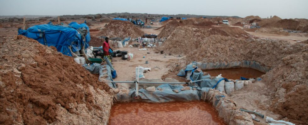 42 dead in collapsed gold mine