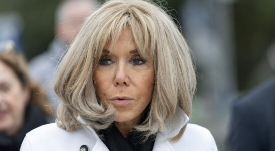 A book ensuring that Brigitte Macron is a man cardboard