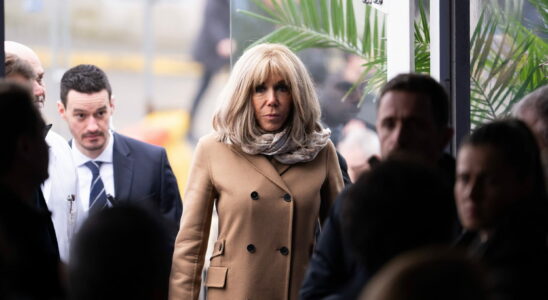 A video on Brigitte Macron multiplying the delusions on her