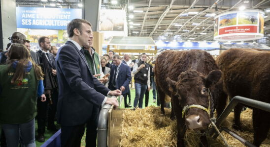 Agricultural Show Macron expected at the turn already feared disturbances