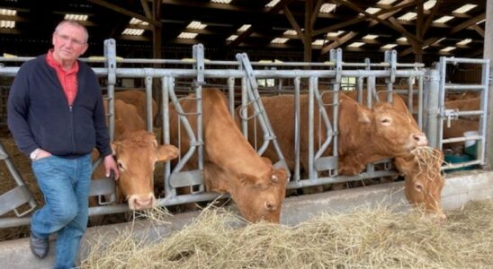 Among farmers the boom in solidarity prize pools LExpress