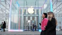 Apples shareholders rejected DEI terminals Brief news