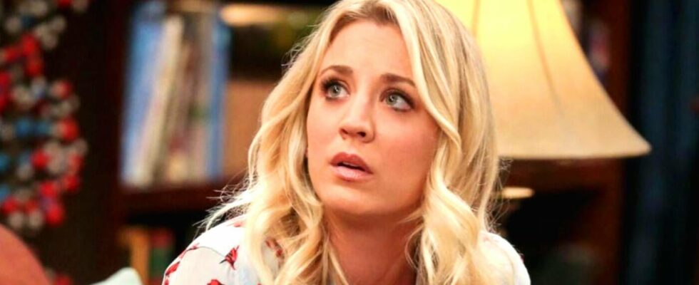 Before Kaley Cuoco there was another penny in The Big