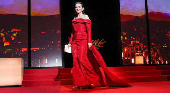 Cannes Film Festival Juliette Binoche will chair the jury the