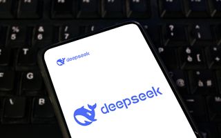 Deepseek Beijing we will strongly defend Chinese businesses