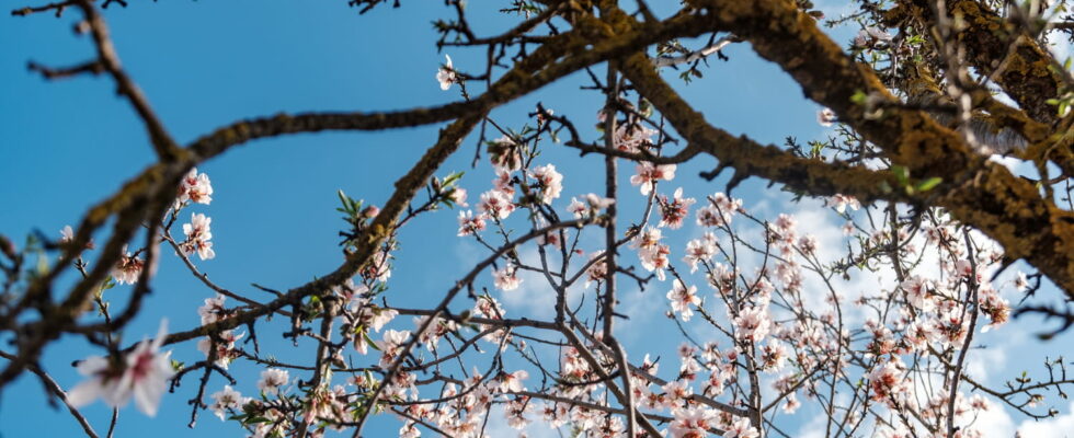 Forecasts for March April and May are becoming very clear