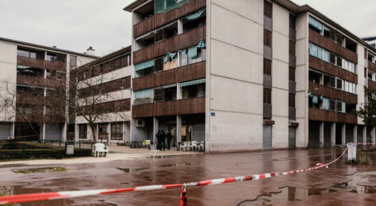 France a grenade attack in a bar in Grenoble is