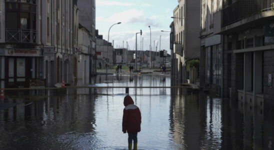 France the environment the principal sacrificed of the 2025 budget