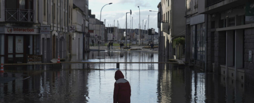 France the environment the principal sacrificed of the 2025 budget