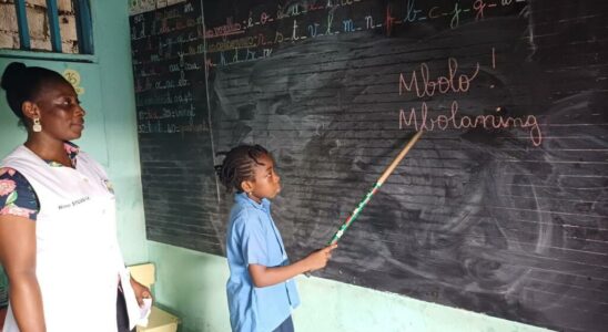 Gabon school initiatives to preserve local languages threatened by French