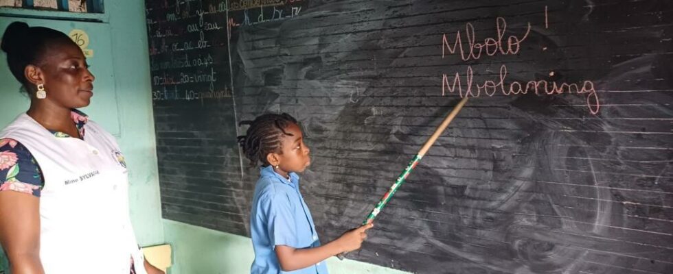 Gabon school initiatives to preserve local languages threatened by French