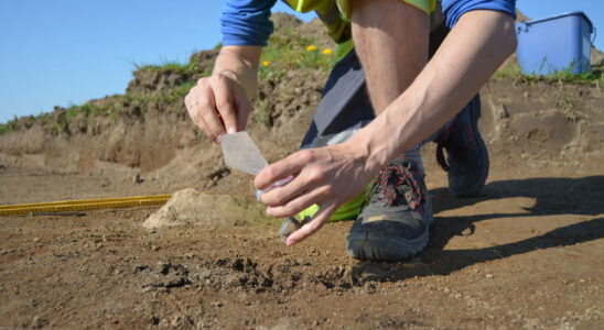 Gauls found buried in France their strange position intrigues archaeologists