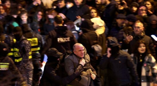 Georgia two opposition leaders arrested during an anti government demonstration