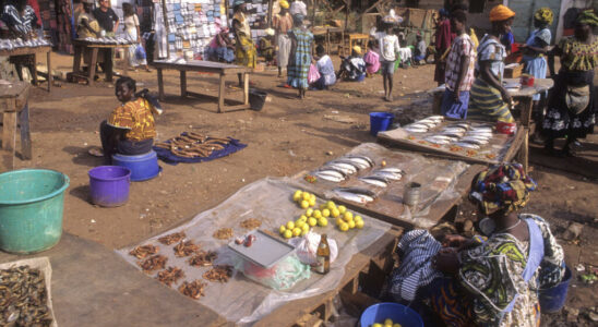 Guinea Bissau Low mobilization against the expiration of the packor mandate