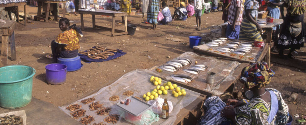 Guinea Bissau Low mobilization against the expiration of the packor mandate