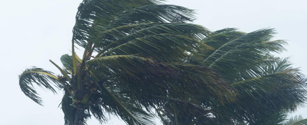 Gusts at more than 150 kmh in Reunion The trajectory