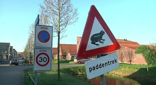 Here volunteers help toads to make the crossing You save