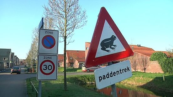 Here volunteers help toads to make the crossing You save