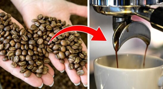 How much coffee should you drink Here is the answer