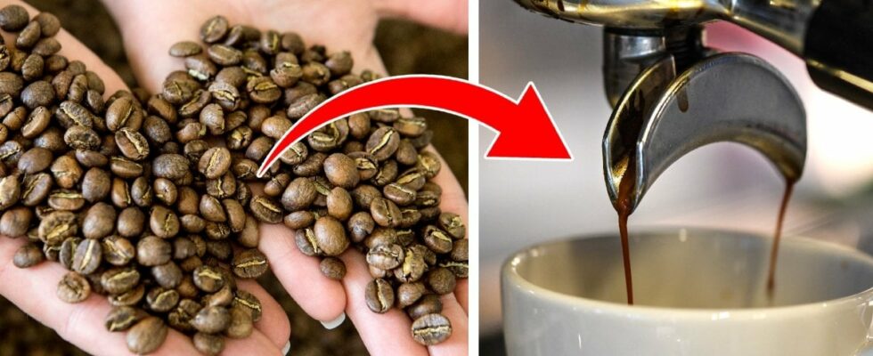 How much coffee should you drink Here is the answer