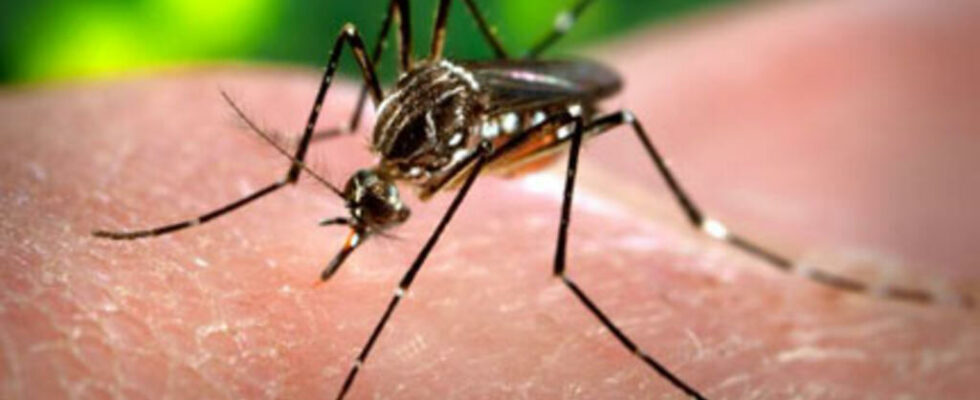 In Reunion the chikungunya epidemic intensifies on a large part