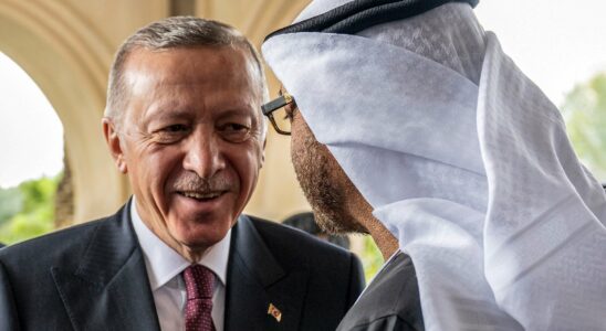 In Turkiye the reasons for the prudent support of Recep