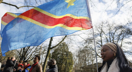 Is the DRC the Congolese diaspora manifest in Belgium for