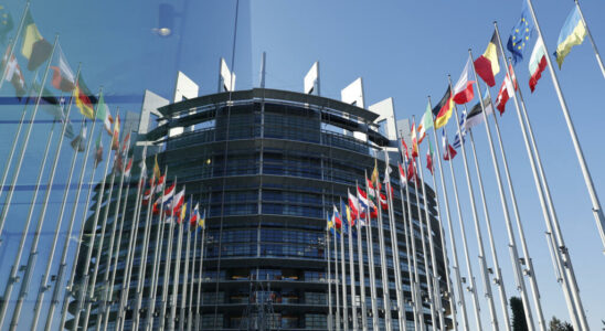 Is the DRC the European Parliament calls on the EU