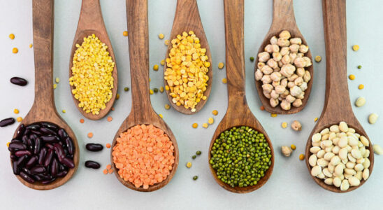 Legumes a solution for agriculture health and the environment