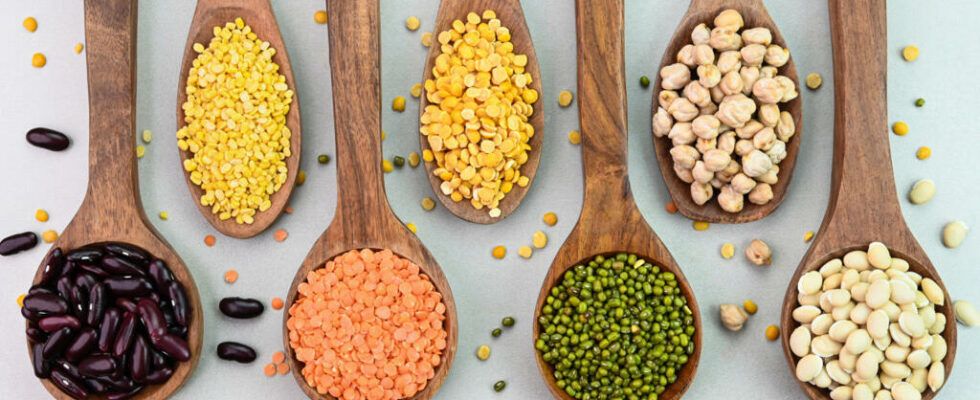 Legumes a solution for agriculture health and the environment