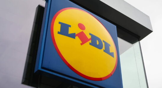 Lidl accused of complicity in animal abuse a complaint filed