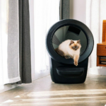 Litter Robot 4 test a simple and efficient connected litter