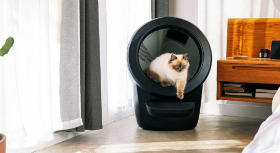 Litter Robot 4 test a simple and efficient connected litter