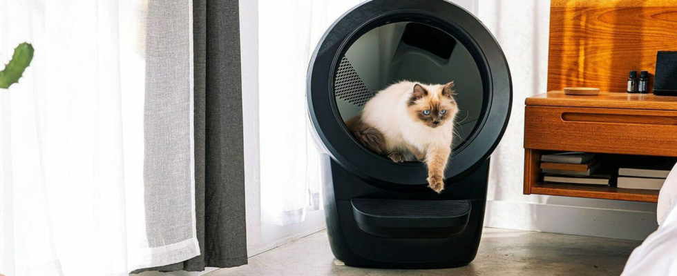 Litter Robot 4 test a simple and efficient connected litter