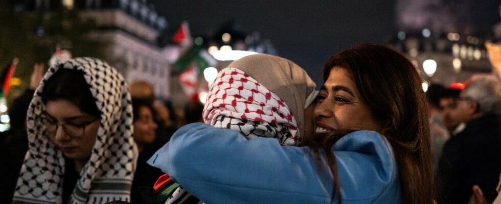 MP Rima Hassan repressed upon her arrival in Israel